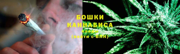 тгк Магас