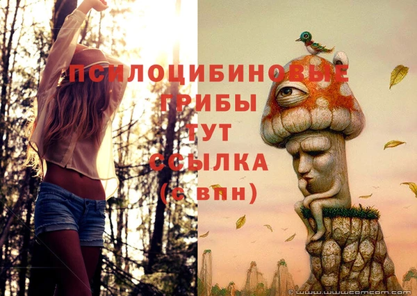 гидропоника Майский