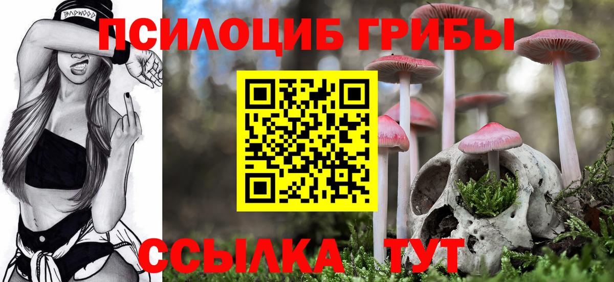 Кандалакша  Альфа ПВП  Cocaine  Вход с VPN  МЕФ  Бошки Шишки  Каннабис  Гашиш 