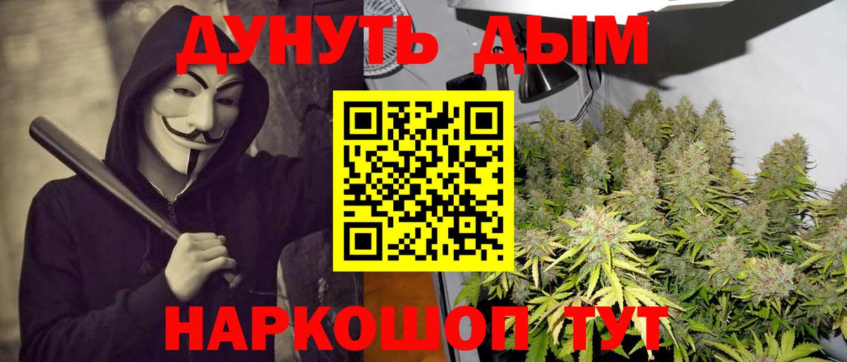 Канабис планчик  Вход с VPN  Кандалакша  Шишки марихуана Ganja 